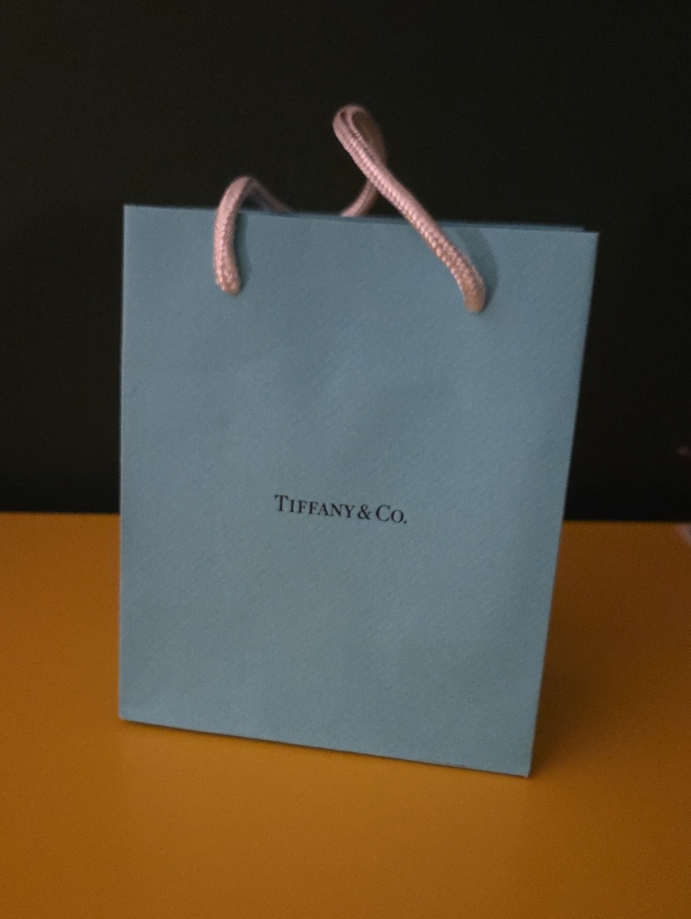 Tiffany & Co. Blue Mini Gift Bag
